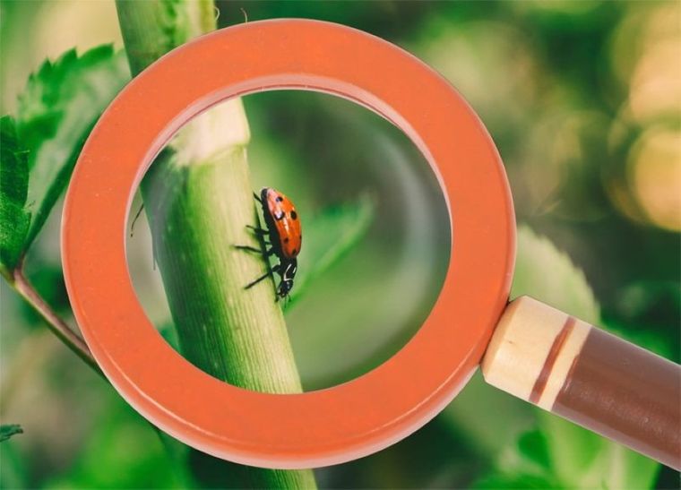 Small Foot, pas przygodowy z akcesoriami do zabaw