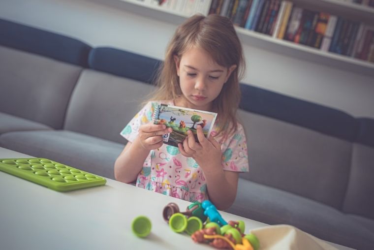 Smart Games, Psiaki Na Spacerze, gra logiczna