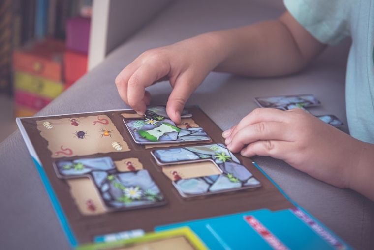 Smart Games, Robaczki, gra logiczna