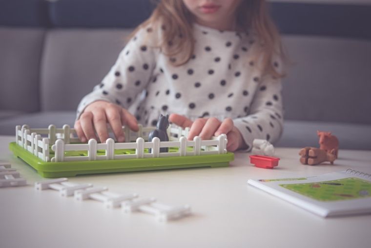 Smart Games, Zwierzaki Na Wsi, gra logiczna