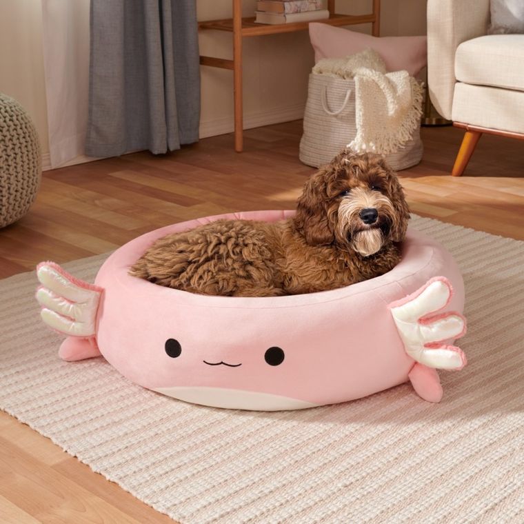 Squishmallows, legowisko dla psa/kota, rozmiar S, 50 cm, Archie The Axolotl