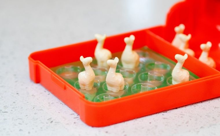 ThinkFun, Flip&Play Skaczące lamy, gra logiczna