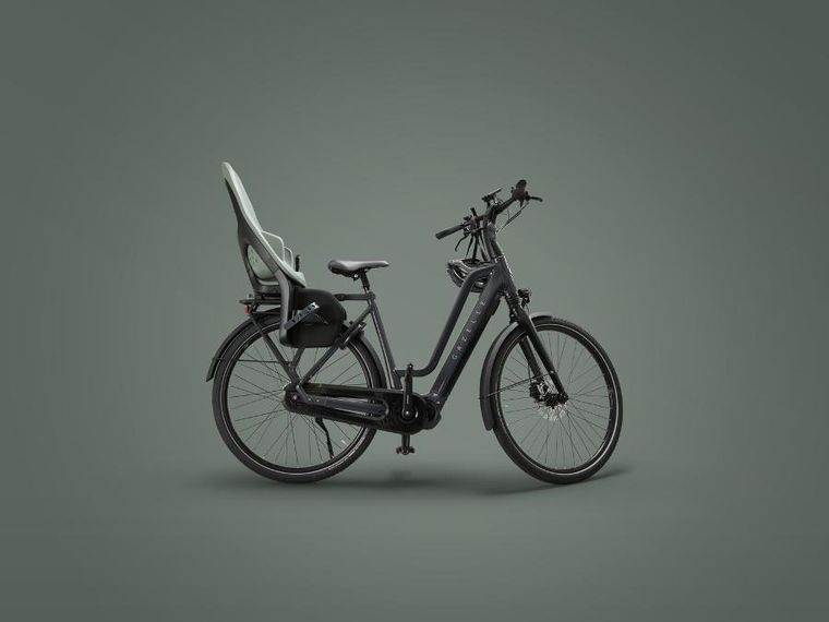 Thule, Yepp 2 Mik HD, fotelik rowerowy, montowany na bagażniku, Agave