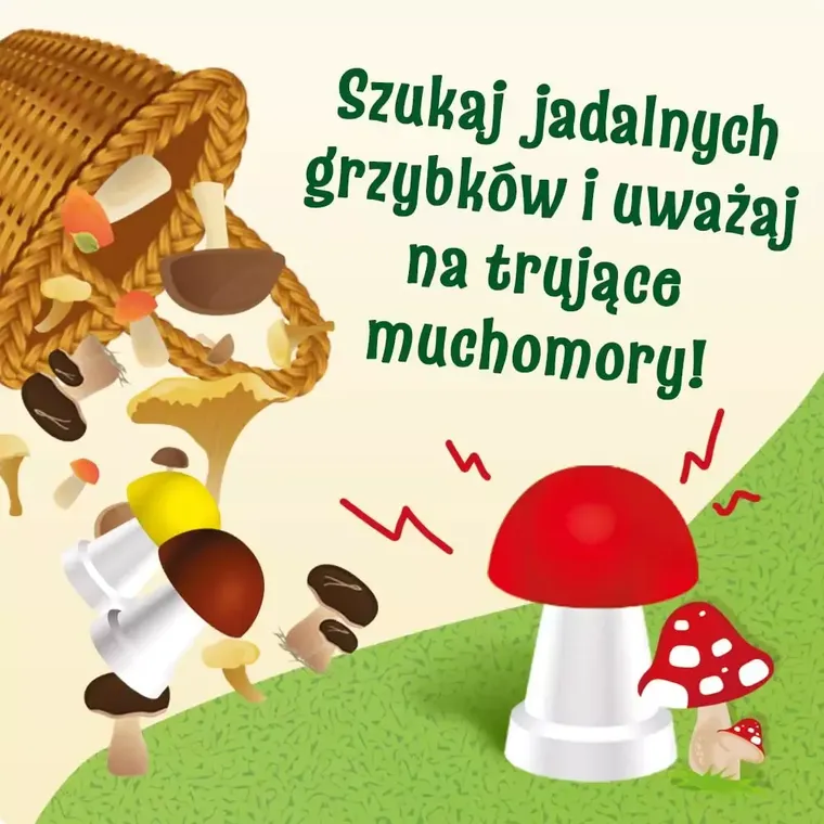 Trefl, Grzybobranie w Zielonym Gaju, gra familijna 3D