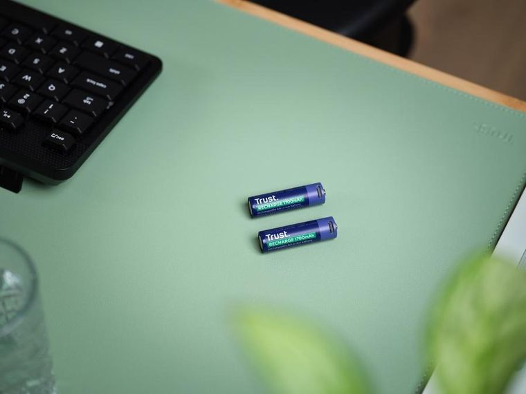 Trust, USB-C Rechargeable Batteries, baterie AA, 2 szt.