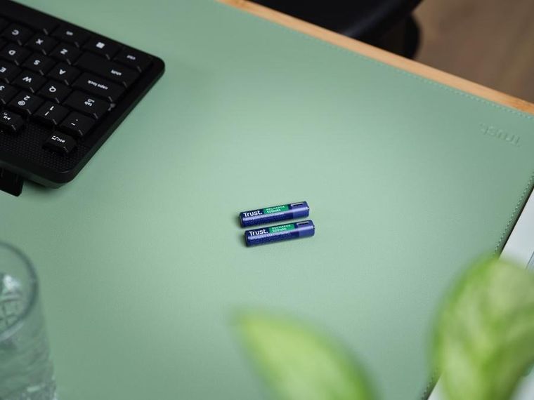 Trust, USB-C Rechargeable Batteries, baterie AAA, 2 szt.