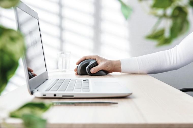 Trust, Verro Ergonomic Wireless Mouse, mysz optyczna, 1600 dpi, 1200 dpi, 600 dpi, 23507