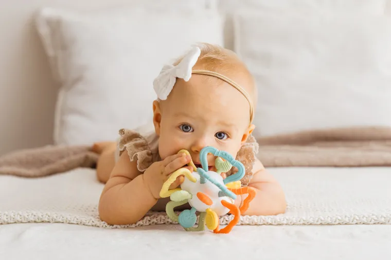 TuliFun, terkotek pastelowy, zabawka sensoryczna