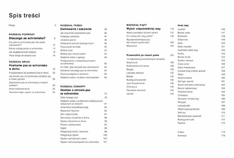 Twój pies ze schroniska