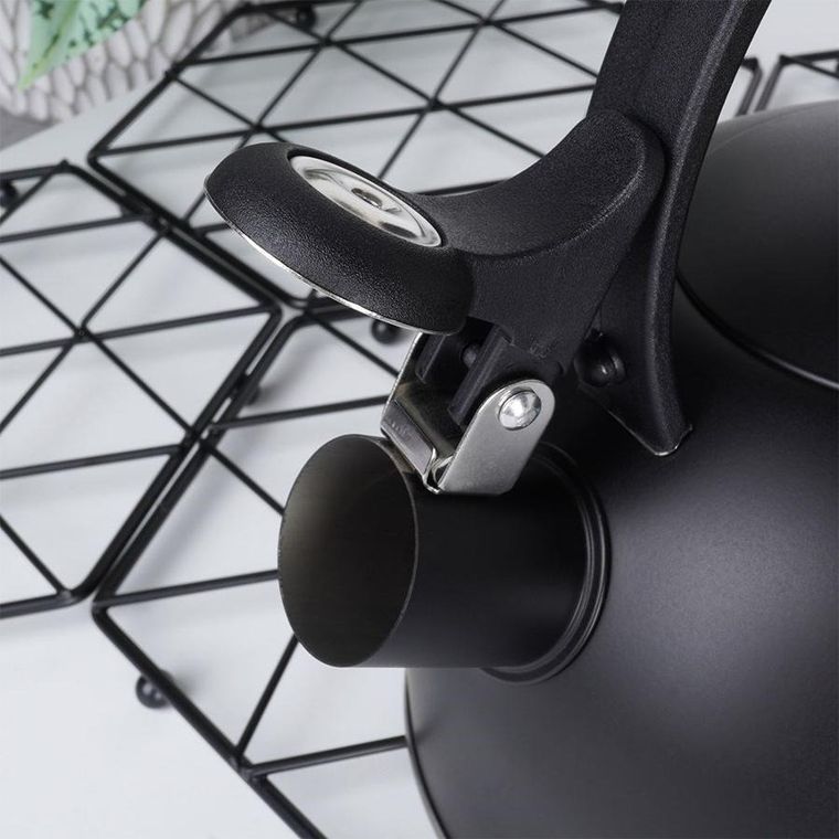 Vilde, czajnik z gwizdkiem, stalowy czarny, 2 l