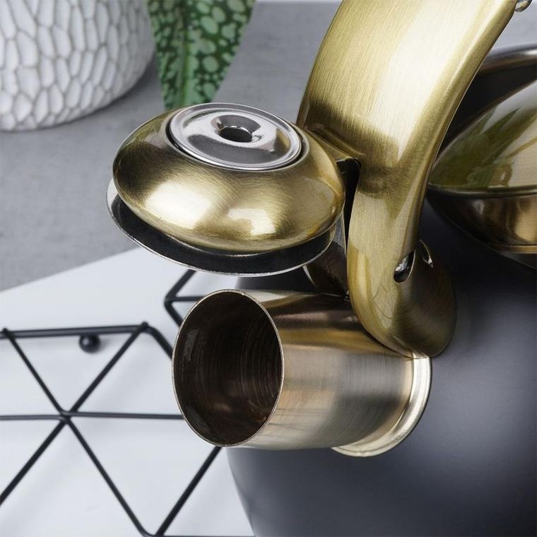 Vilde, czajnik z gwizdkiem, stalowy, czarny, 3l