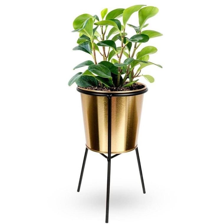 Vilde, osłonka doniczka, na stojaku, metalowa, złota, 20 cm