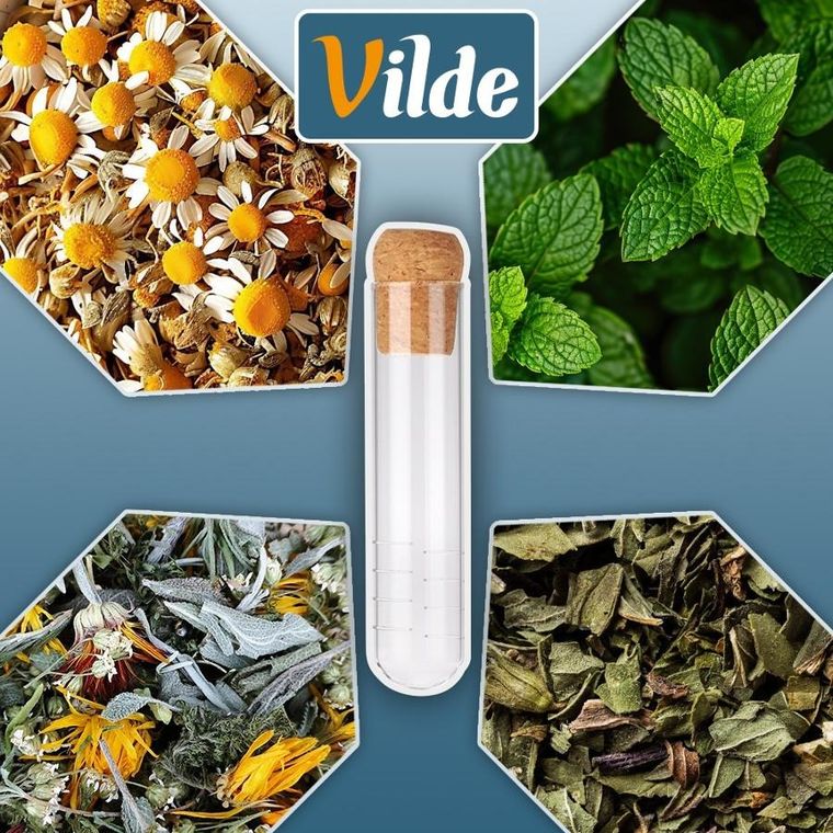 Vilde, zaparzacz do herbaty, szklany, 6 elementów