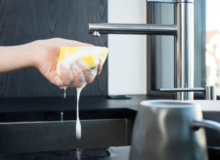 Vileda, Tip-top, zmywak, 5 szt.