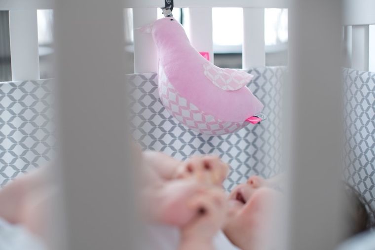 Whisbear - Szumiący Miś, szumiący ptaszek, Drzewka różowe