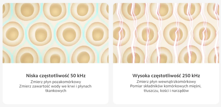 Xiaomi, Body Composition Scale S400, waga łazienkowa