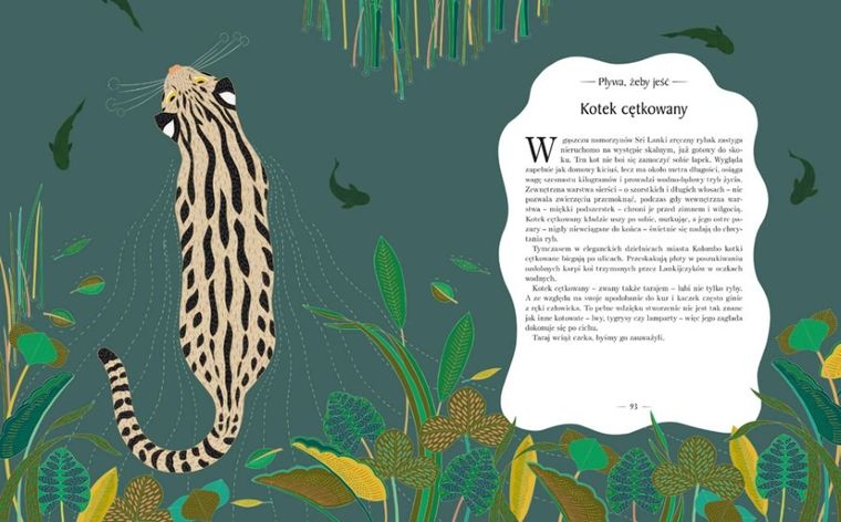 Znikające królestwo. Przewodnik po świecie