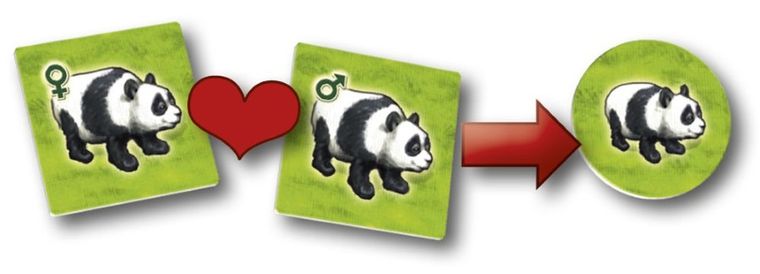 Zooloretto, gra familijna