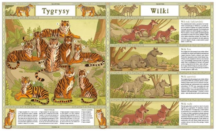 Zwierzęta, które zniknęły. Atlas stworzeń wymarłych