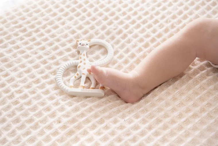 Żyrafa Sophie, So Pure, gryzak