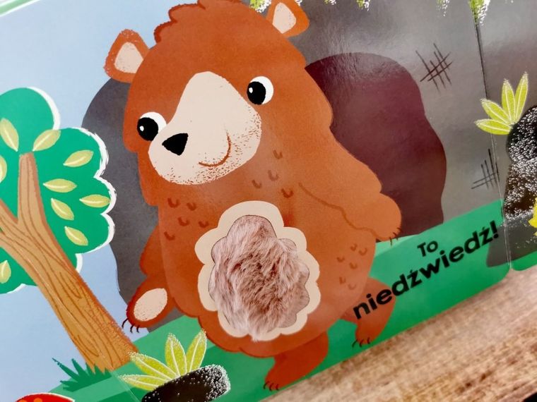 Akademia Mądrego Dziecka. Dotykam, zgaduję. Zwierzęta w lesie