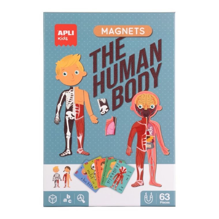 Apli Kids, magnetyczna układanka, ciało człowieka