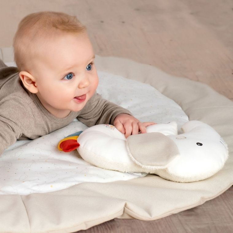 BabyFehn, Natura, mata do zabawy, Słoń