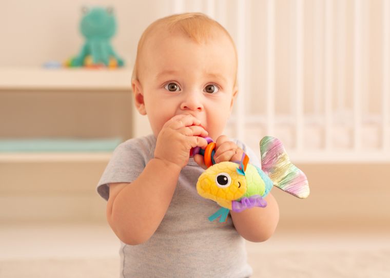 Balibazoo, rybka Felicity, grzechotka