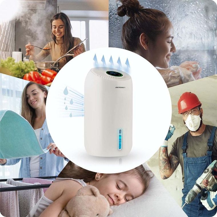 Berdsen, osuszacz powietrza, pochłaniacz wilgoci, BD-529