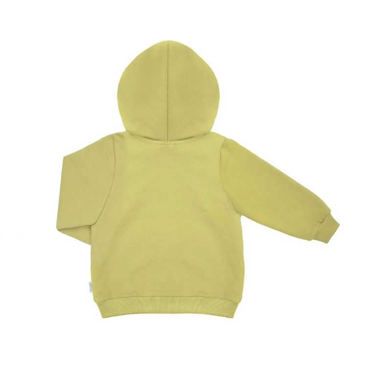 Bluza dziecięca z kapturem, rozpinana, limonkowa, Nicol
