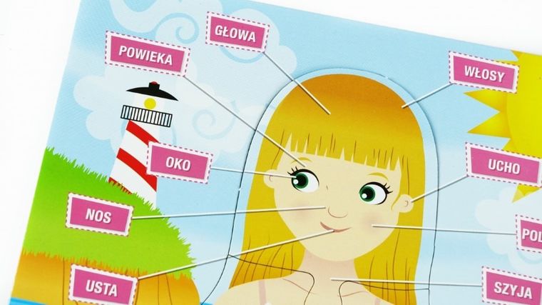 Carotina, Ciało człowieka, puzzle edukacyjne