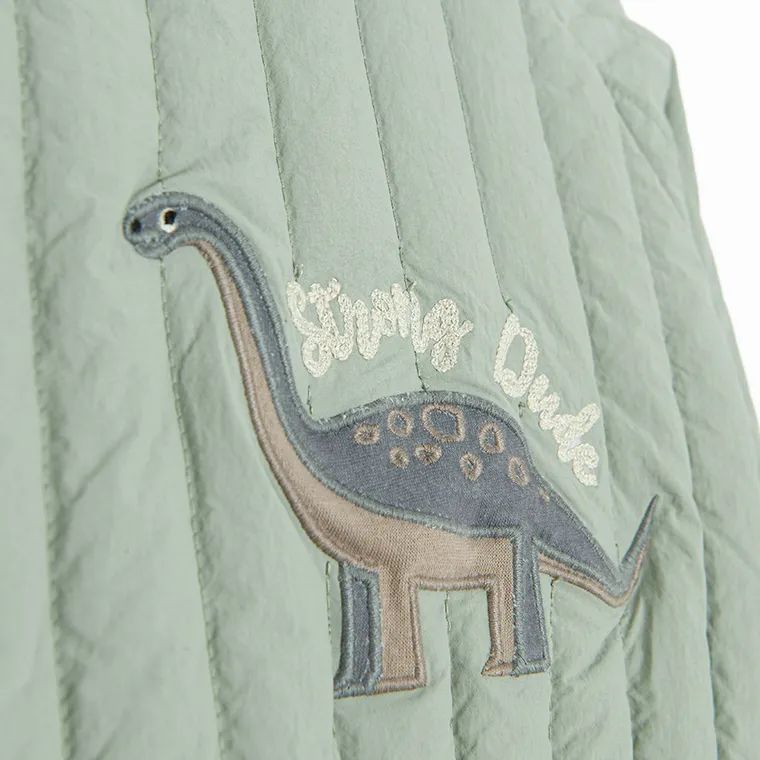 Cool Club, Kurtka chłopięca, zielona