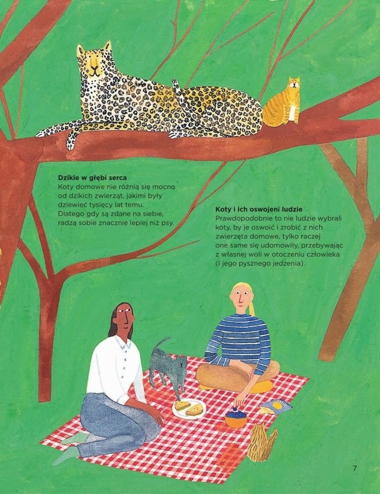 Dlaczego koty miauczą?