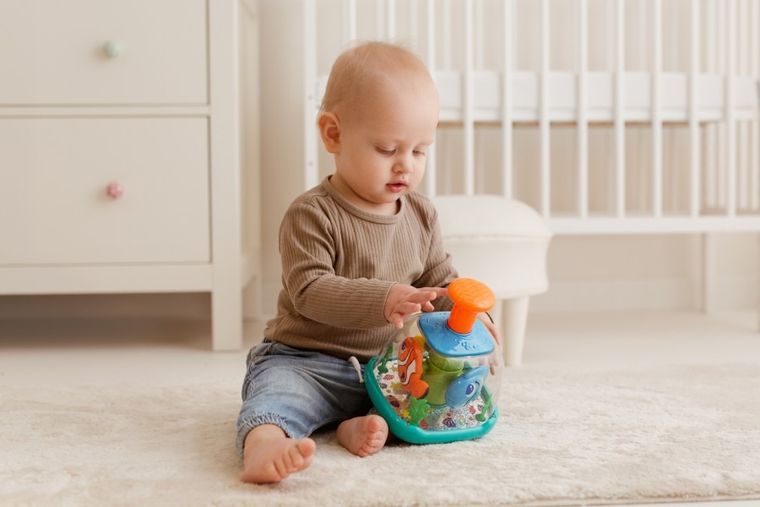 Dumel Discovery, bączek, akwarium