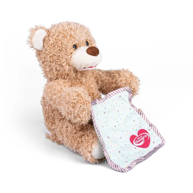 Dumel Discovery, Miś A Kuku, maskotka interaktywna