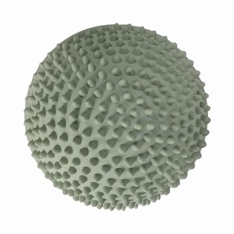 Find that Hippo, Zachód słońca, ścieżka sensoryczna