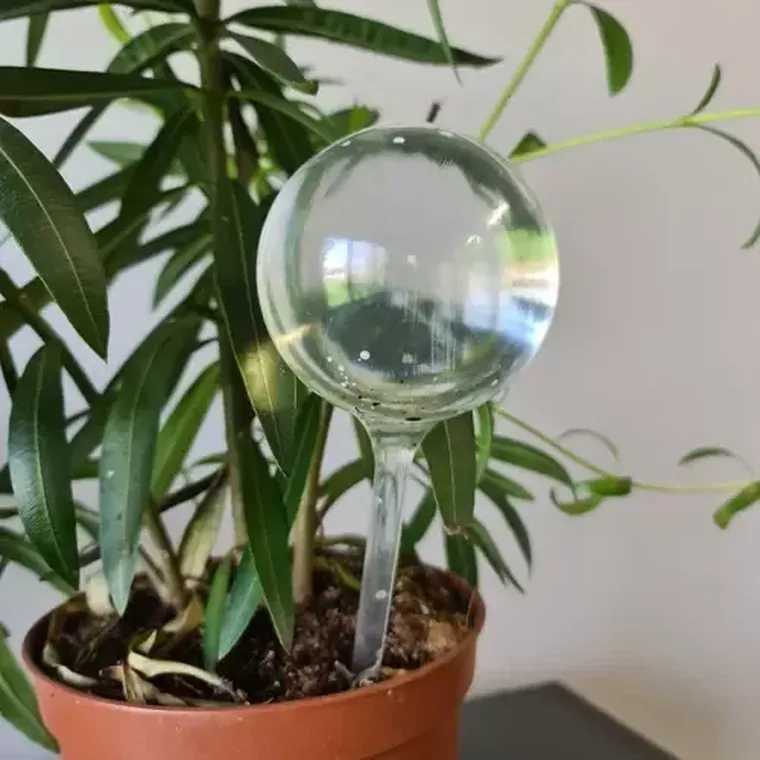 Gardlov, kule nawadniając, 8 szt.