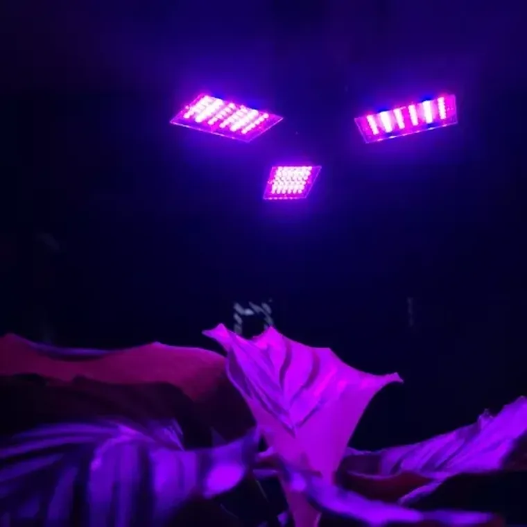 Gardlov, lampa do wzrostu roślin, 108 LED