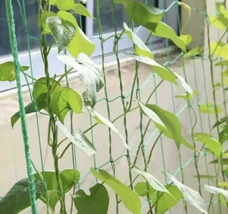 Gardlov, siatka, podpora do roślin, 2-20m