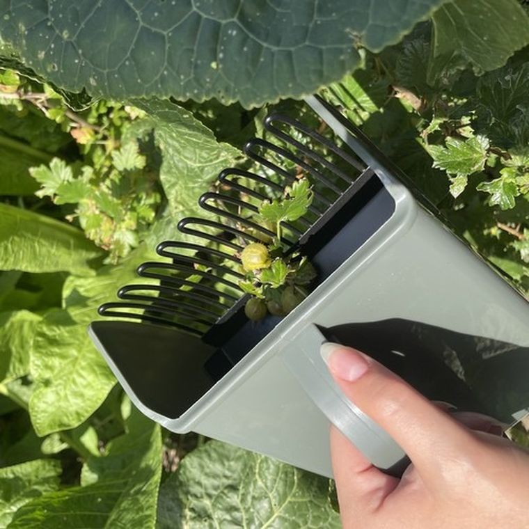 Gardlov, zbieraczka do owoców