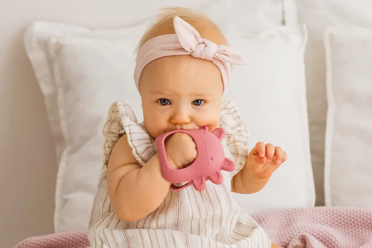 GiliGums, Aksolotl, gryzak, różowy