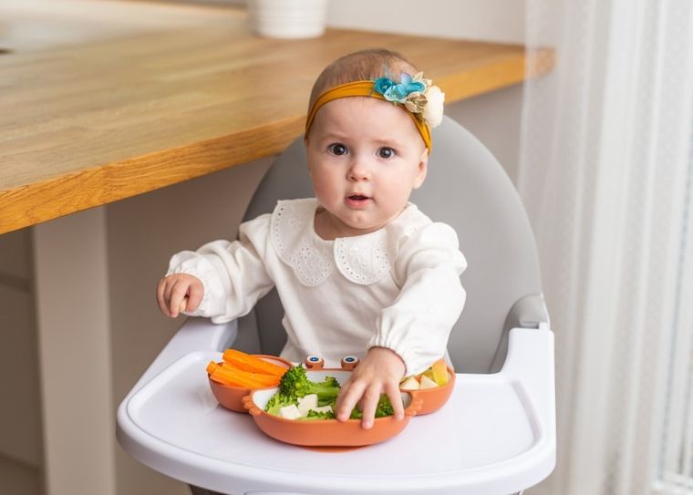 GiliGums, Krab, talerz, ceglasto-biały