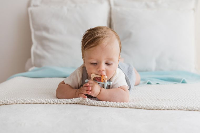 GiliGums, Miś, gryzak