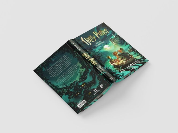 Harry Potter i Kamień Filozoficzny (ilustrowane brzegi))