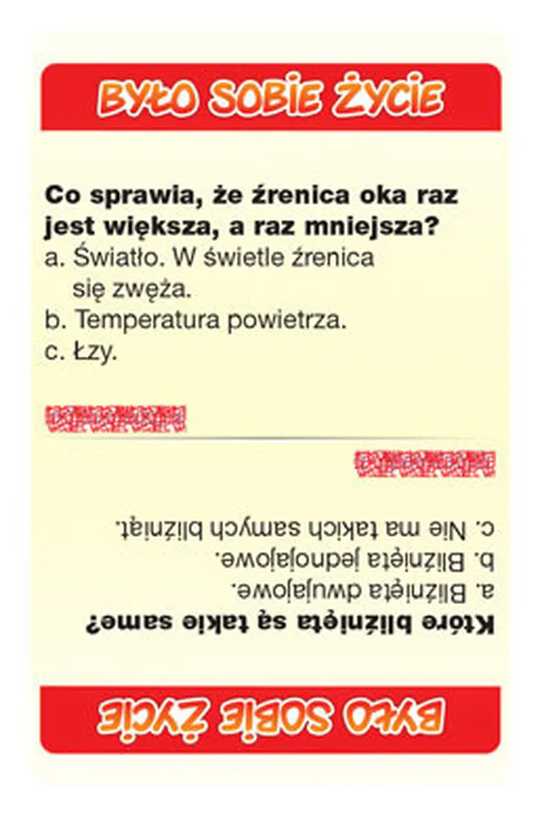 Hipokampus, Było sobie życie, gra familijna
