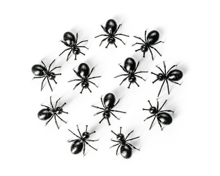 Imprezowe mrówki na przekąski