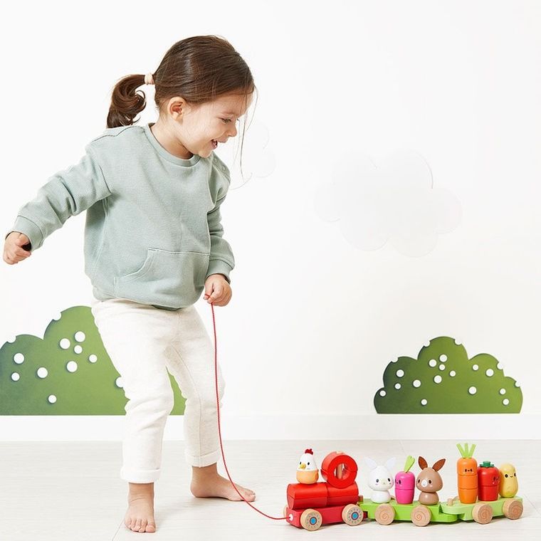 Janod, Farma, pociąg z klockami i figurkami do ciągnięcia