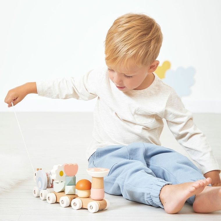 Janod, Sweet Cocoon, Ślimak, magnetyczny pociąg z klockami i grzechotką do ciągnięcia