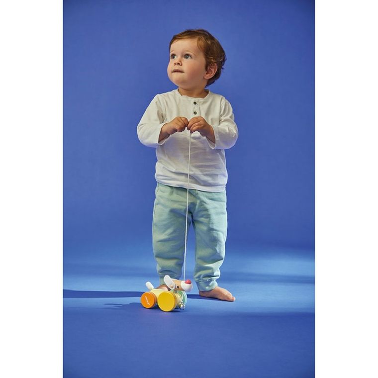 Janod, Zigolos, piesek drewniany do ciągnięcia