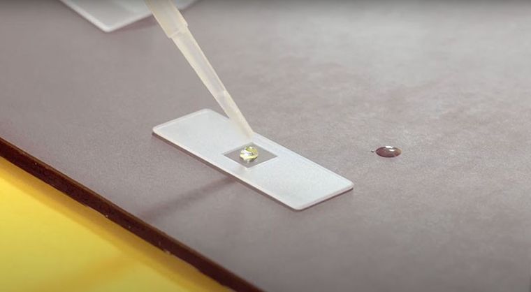 Kosmos, Mikroskop Odkrywcy, zestaw edukacyjny